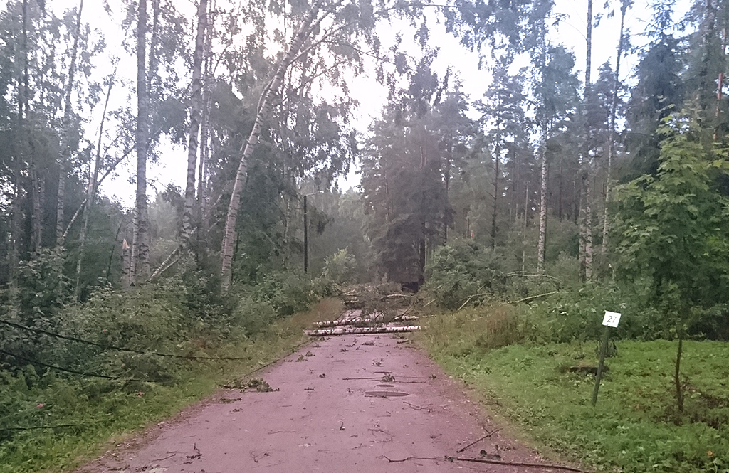 Keravalaisen Savion VPK:n alueellakin tielle kaatui puita. (Kuva: Erkki Kauranen.)