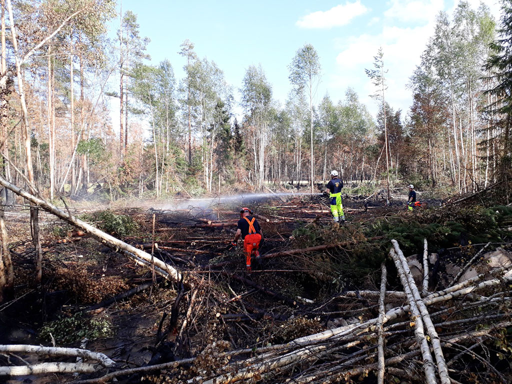 Palomiehet raivaavat puita moottorisahalla, jotta pääsevät sammuttamaan puiden alla olevia palopesäkkeitä. 