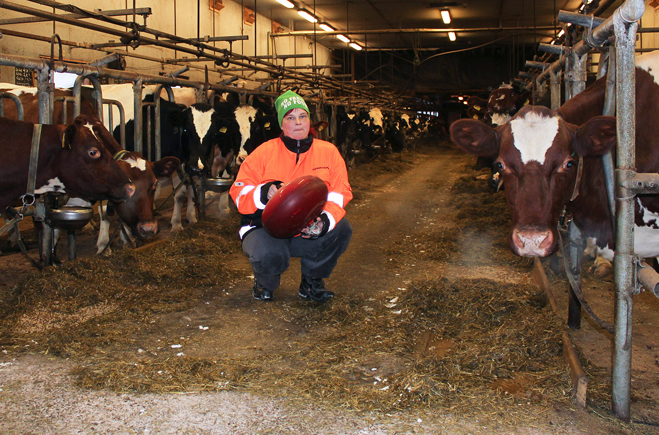 Emäntä Hannele Sauna-ahon hankkima automaattinen jauhesammutin esti yli 60 lehmän navetan tulipalon.