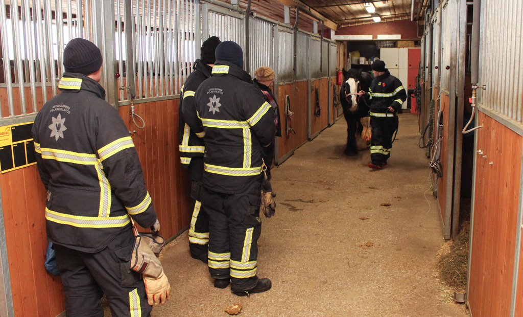Palomiehet opettelivat hevosen käsittelyä Jyväskylässä. Kouluttaja Marjo Moilasen mukaan karsina on hevosen turvapaikka, jon­ne se koettaa palata, vaikka talli on tulessa. 